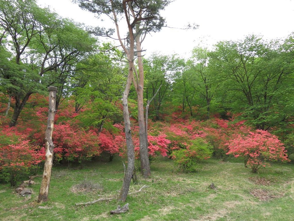 L'escale Guest house Nikko