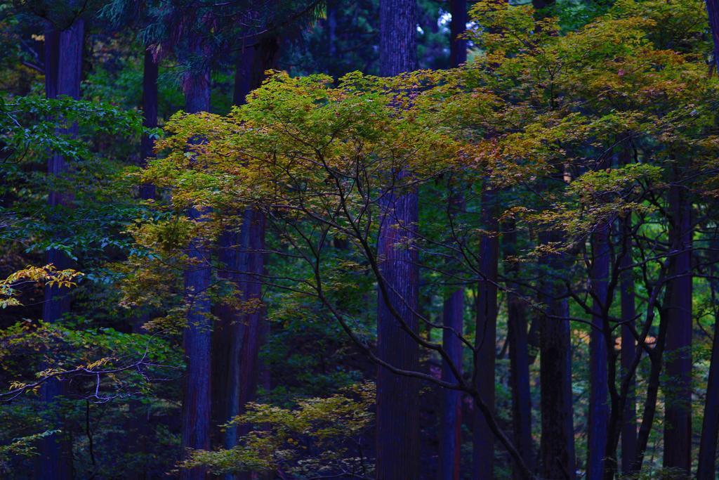 L'escale 2* Nikko